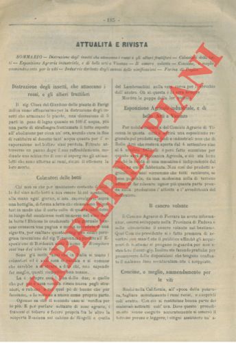 Attualit e rivista. - Concime, o meglio ammendamento per le viti. Industrie derivate dagli avanzi delle vinificazioni. Farina di Paglia. L'innesto della vite. Ecc.