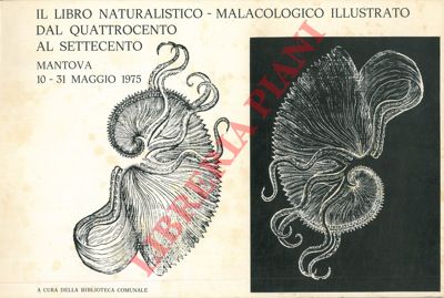 SCHIZZEROTTO G. et AA. - - Il libro naturalistico-malacologico illustrato dal '400 al '700. 