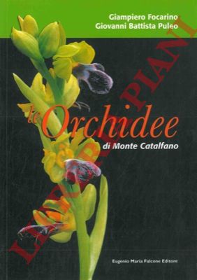 FOCARINO Giampiero - PULEO Giovanni Battista - - Le orchidee di Monte Catalfano.