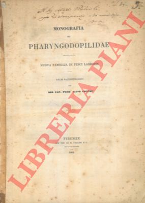 COCCHI Igino - - Monografia dei Pharyngodopilidae, nuova famiglia di pesci labroidi. Studi paleontologici.