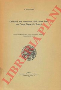 RODRIGUEZ A. - - Contributo alla conoscenza delle faune fossili dei Campi Flegrei (La Starza).