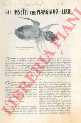 BOYER Giacomo - - Gli insetti che mangiano i libri.
