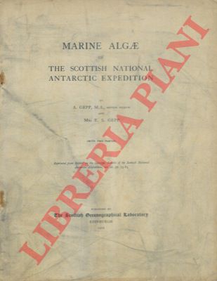 GEPP A. & GEPP E. S. - - Marine Algae of the Scottish Antarctic Expedition.