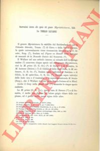 SALVADORI Tommaso - - Osservazioni intorno alle specie del genere Myristicivora, Rchb. Ann. Mus. civ. St. Nat. Genova, IX: