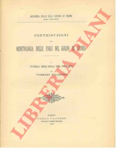 SALVADORI Tommaso - - Contribuzioni all'Omitologia delle Isole del Golfo di Guinea, I. Uccelli delle Isola del Principe - II. Uccelli dell'Isola di S. Thom - III. Uccelli di Anno-Bom e di Ferdinando Po.