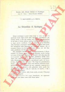 SALVADORI Tommaso & FESTA E.   - - La Ghiandaia di Sardegna.