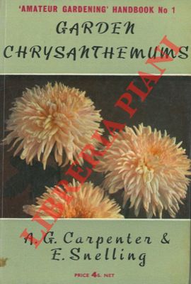 CARPENTER A.G. - SNELLING E. - - Garden chrysanthemums.