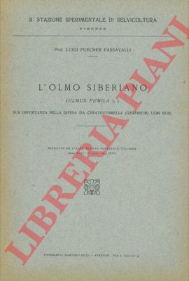 PUECHER PASSAVALLI Luigi - - L'olmo siberiano (Ulmus pumila L.) sua importanza nella difesa da Ceratostomella (Graphium) ulmi Buis.