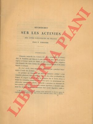 FISCHER P. - - Recherches sur les actinies des cotes ocaniques de France.