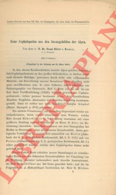 RITTER v. HAUER Franz - - Neue Cepalopoden aus den Gosaugebilden der Alpen