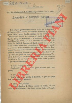 TIBERI N(icola) - - Appendice a' Chitonidi Italiani