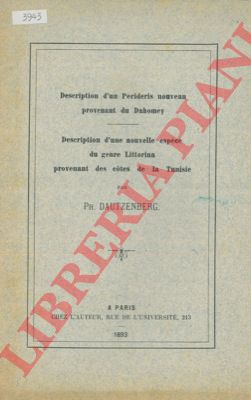 DAUTZENBERG Ph. - - Description d'un Perideris nouveau provenant du Dahomey - Description d'un nouvelle espce du genre Littorina provenant des cotes de la Tunisie.