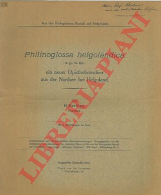 HERTLING H. - - Philinoglossa helgolandica n.g. n.sp. ein neuer Opisthobranchier aus der Nordsee bei Helgoland.