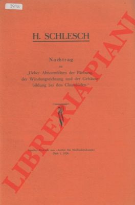SCHLESCH Hans - - Uber Abnormitaten der Farbung, der Windugsrichtung und der Gehausebildung bei den Clausiliiden.