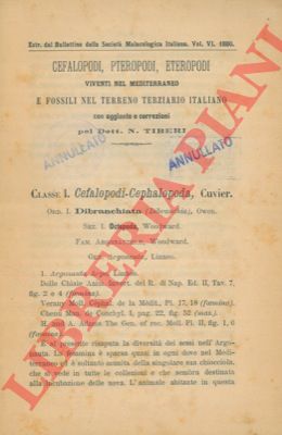 TIBERI N(icola) - - Cefalopodi, Pteropodi, Eteropodi viventi nel Mediterraneo e fossili nel terreno terziario italiano con aggiunte e correzioni.