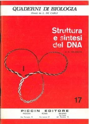 FALASCHI A. - - Struttura e sintesi del DNA.