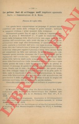 RUSSO A. = MONTICELLI Fr. Sav. - - Le prime fasi di sviluppo nell'Amphiura squamata Sars. = Della spermatogenesi nei Trematodi. Nota riassuntiva.