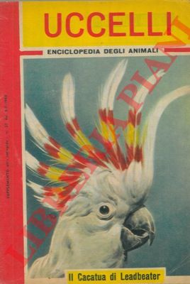 - - Uccelli.