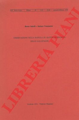 SABELLI Bruno - TOMMASINI Stefano - - Osservazioni sulla radula di alcuni Muricacea della Galapagos.