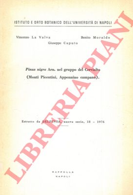 LA VALVA Vincenzo - MORALDO Benito - CAPUTO Giuseppe - - Pinus nigra Arn. nel gruppo del Cervialto (Monti Picentini, Appennino Campano).