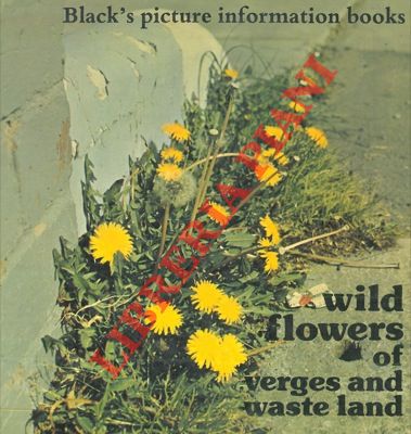 IMRIE Jean - - Wild flowers of verges and waste land.