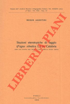 AGOSTINI Renzo - - Stazioni eterotropiche di faggio ( Fagus silvatica L.) in Calabria.