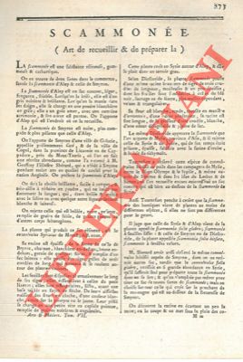 Encyclopedie mthodique - - Art de recueillir & de prparer la scamone.