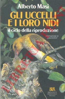 MASI Alberto - - Gli uccelli e i loro nidi. Il ciclo della riproduzione.