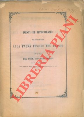 OMBONI Giovanni - - Denti di ippopotamo da aggiungersi alla fauna fossile del Veneto. Nota.