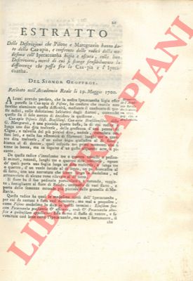 GEOFFROY - TOURNEFORT - - .. la differenza che passa tra la Caa-pia e l'Ipecacuanha. Sopra due specie' di the trovare alla Martinica. Persicaria orinetamlis nicotianae folio. Descrizione di due specie di Chamaerhododendros osservate sulle spiagge del Mar Nero.