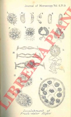 (ALLEN Alfred) - - The journal of microscopy and natural science: The journal of the postal microscopical society