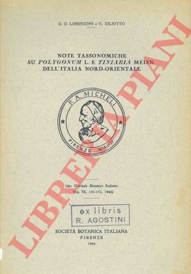 LORENZONI G. G. - ZILIOTTO U. - - Note tassonomiche su Polygonum L. e Tiniaria Meisn dell'Italia nord-orientale.