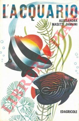 MASETTI ZANNINI Alessandra - - L'acquario.