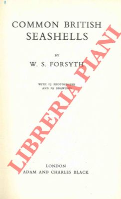 FORSYTH W.S. - - Common british seashells.