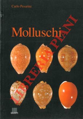 PESARINI Carlo - - Molluschi.