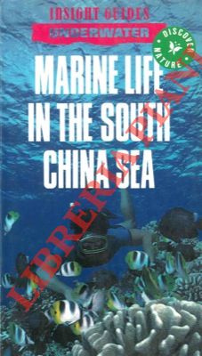 - - Marine life in the South China Sea.