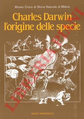 BANFI Enrico - LEONARDI Carlo - - Charles Darwin l'origine delle specie.