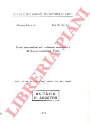 CAPUTO Giuseppe - CASTALDO Rosa - - Prime osservazioni sul 