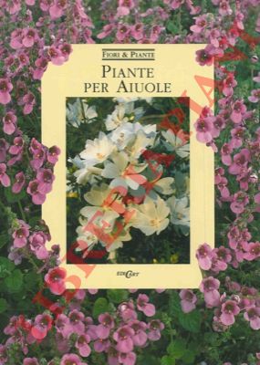 - - Piante per aiuole.