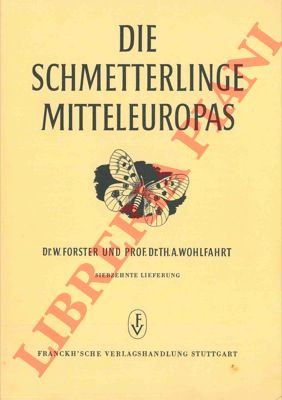 FORSTER W. - WOHLFAHRT Th.A. - - Die Schmetterlinge Mitteleuropas.