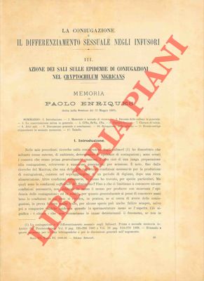 ENRIQUES Paolo - - La coniugazione e il differenziamento sessuale degli infusori. III. Azione dei sali sulle epidemie di coniugazioni nel Cryptochilum nigricans. IV. Trattazione critica delle pi importanti questioni.