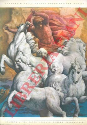 - - Consorzio della Grande Bonificazione Renana.