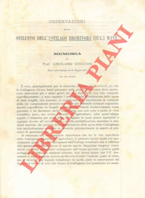 COCCONI Girolamo - - Osservazioni sullo sviluppo dell'Ustilago bromivora (Tul.) Wint..