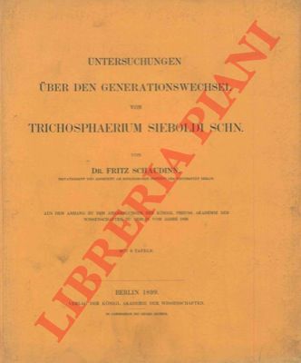 SCHAUDINN Fritz - - Untersuchungen uber den Generationswechsel von Trichosphaerium sieboldi Schn.