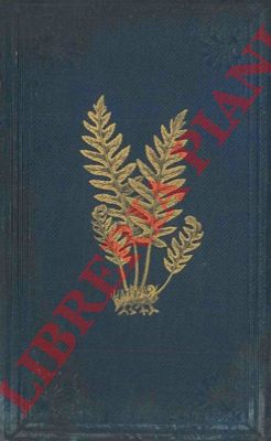 SOWERBY John E. - JOHNSON Charles - - The ferns of Great Britain. - The fern allies: a supplement to the ferns of Great Britain.