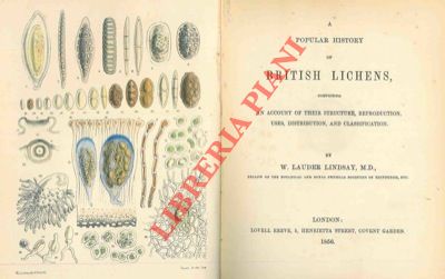 LINDSAY W. Lauder - - A popular history of british lichens, comprising an account of their structure, reproduction, uses, distribution, and classification.