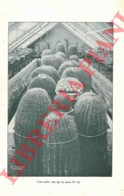 Etablissement Horticole Fr. De Laet. Anvers - - Cultures spciales de Cactes. Catalogue gnral 1929.
