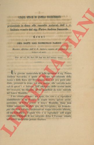 NARDO Gio. Domenico - - Cinque specie di animali invertebrati presentate in dono alle raccolte naturali dell'I.R. Istituto veneto dal sig. Piero Andrea Saccardo.