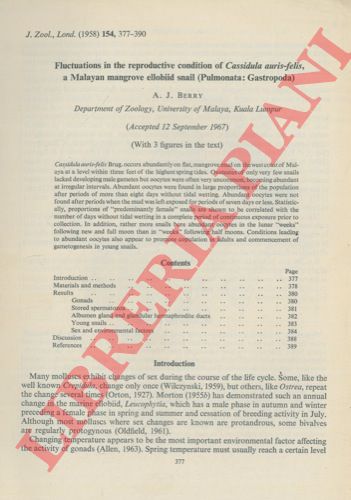 BERRY A. J. - - Fluctuations in the reproductive condition of Cassidula auris-felis, a Malayan mangrove ellobiid snail (Pulmonata: Gastropoda).