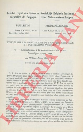 ADAM William - - Contribution  la connaissance du genre Lamelliger ANCEY, 1884.
